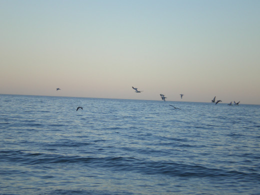 436414 (a): :2816x2112
